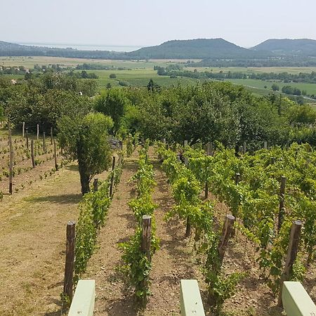 Grand Cru 4 Vendeghaz Villa Hegymagas Luaran gambar