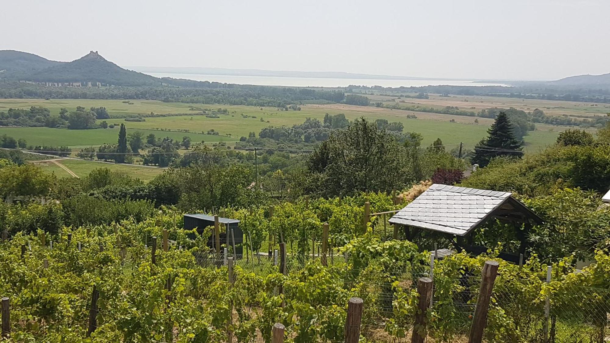 Grand Cru 4 Vendeghaz Villa Hegymagas Luaran gambar